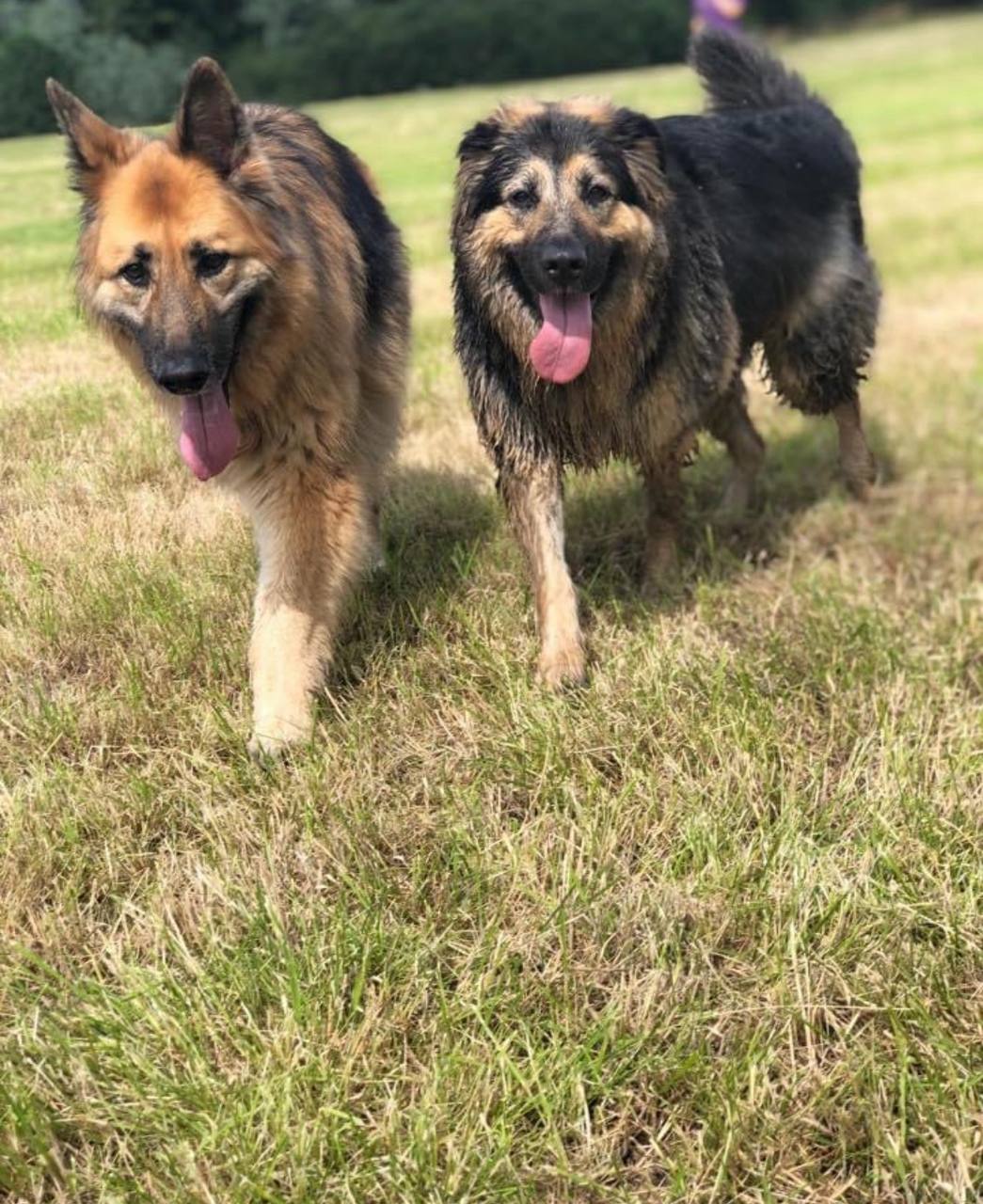 Nature-led adventures in the countryside